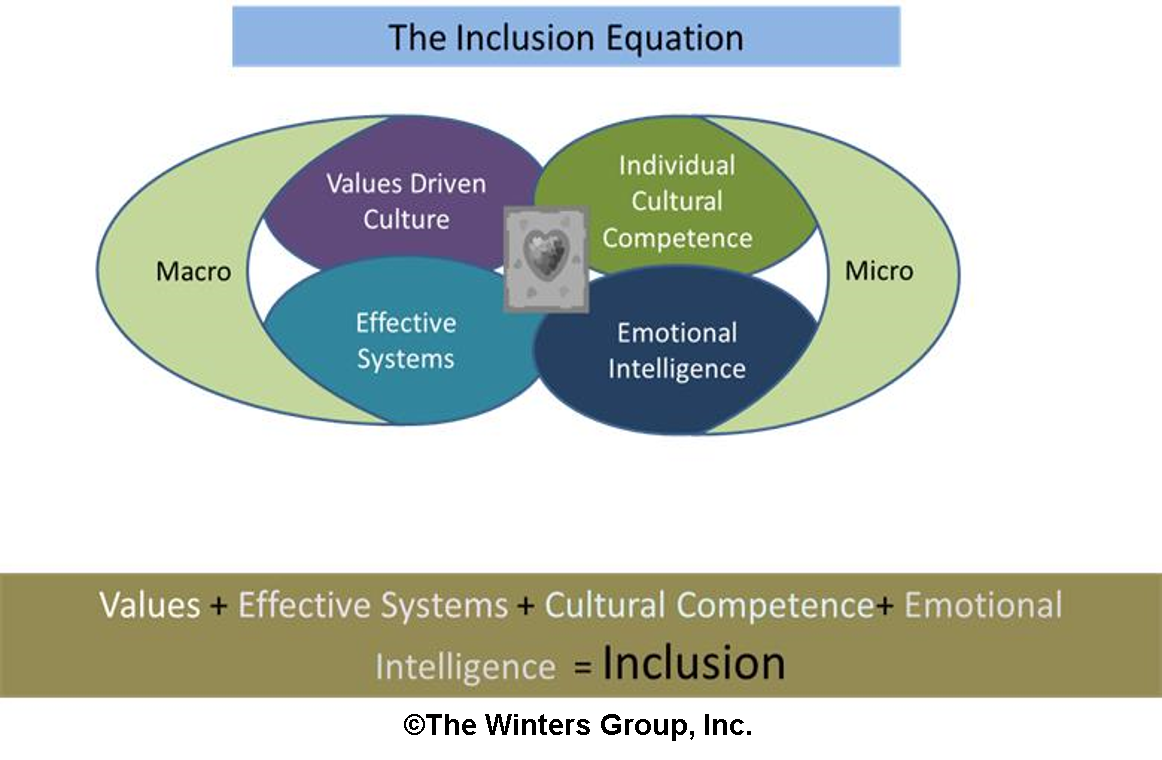 What Is Inclusion? - Part 5: Developing Sustainable Inclusive Cultures ...