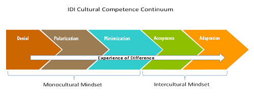 IDI Cultural Competence Continuum