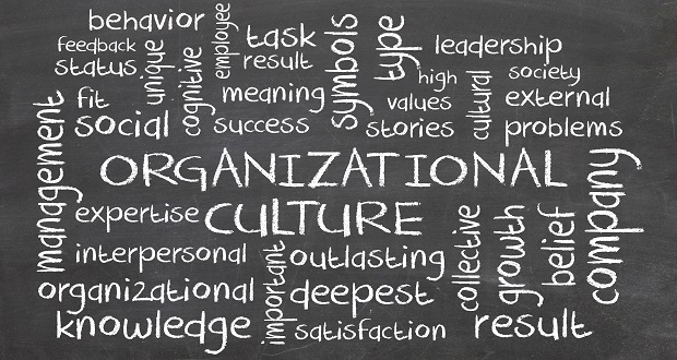 A Point of View: Organizations as Culture