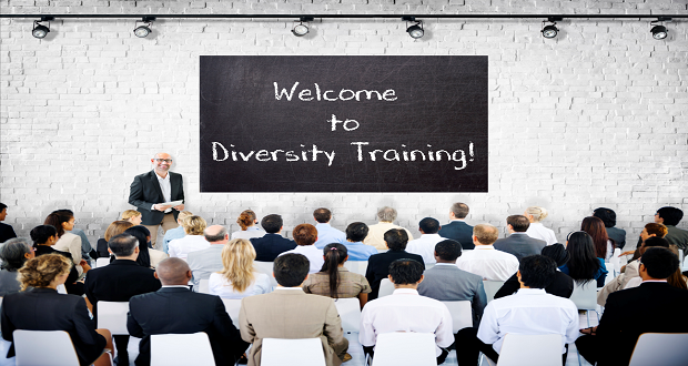 A Point of View: Is “Diversity Training” Enough?