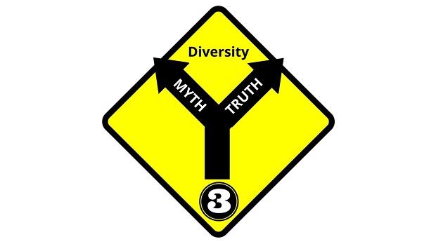 Diversity Myth #3: Diversity Is Only About Differences